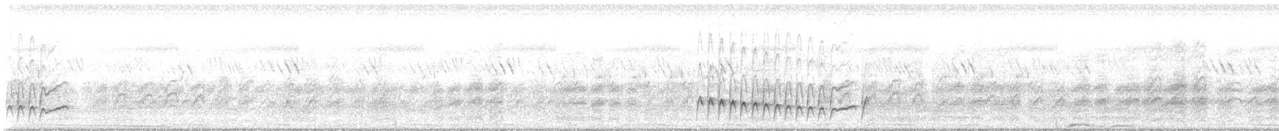 Langschwanz-Drosselhäherling - ML644935168