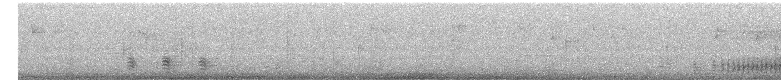 Weißbrustkleiber - ML644935186