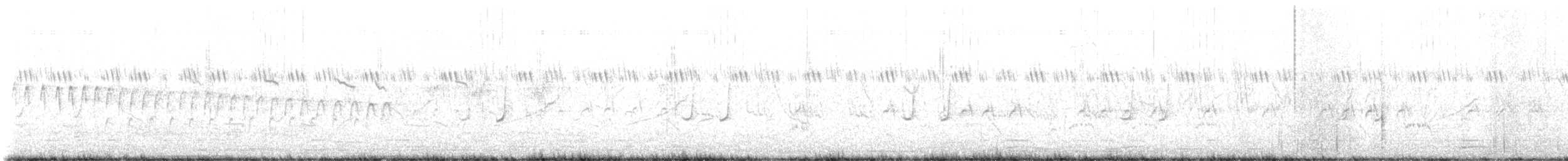 Regenwachtel - ML644935267