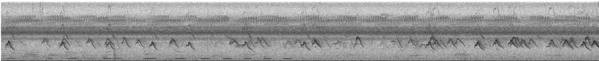 Magpie Mannikin - ML644935399