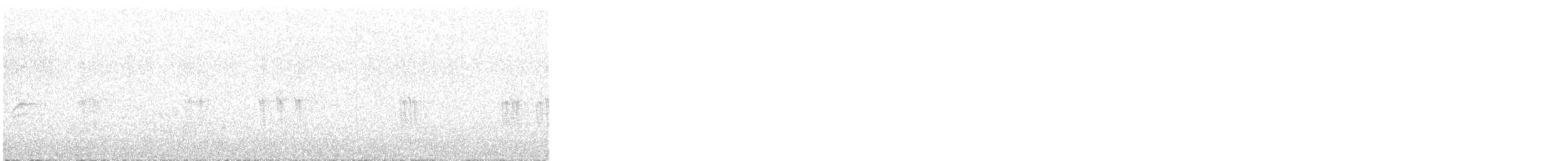 křivka bělokřídlá - ML644936936