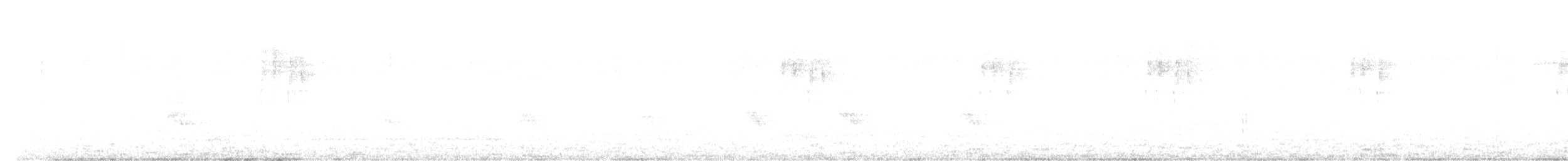 blåørekolibri - ML644937590