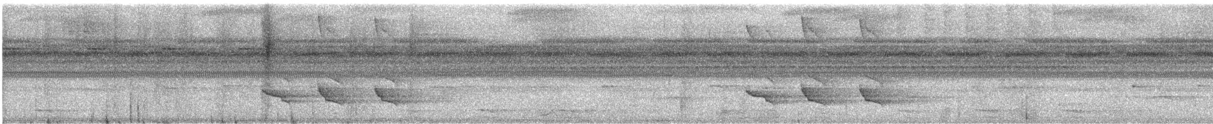 stripeskogjeger - ML644937746