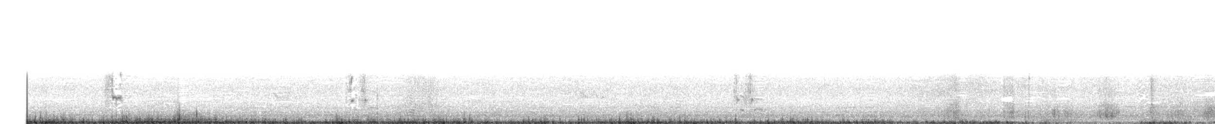 varsler (aucheri/buryi) - ML644937803