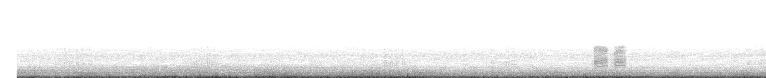 varsler (aucheri/buryi) - ML644937804