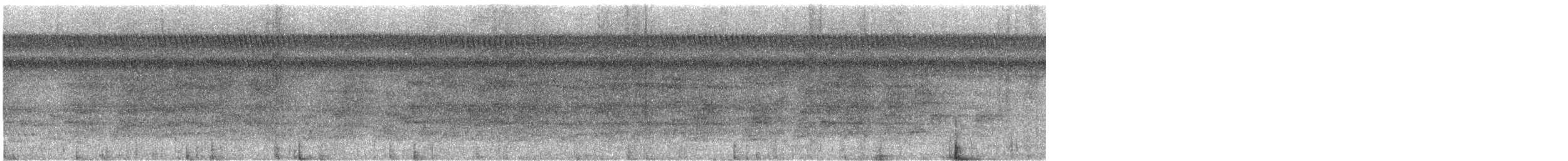 koboltvingeparakitt - ML644937829