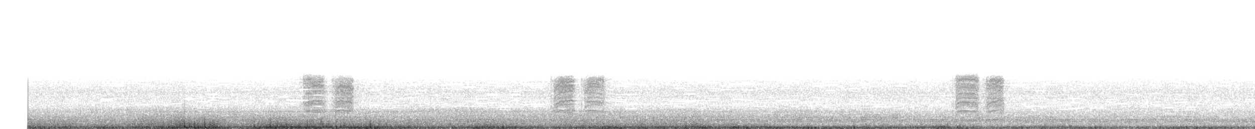 varsler (aucheri/buryi) - ML644938333