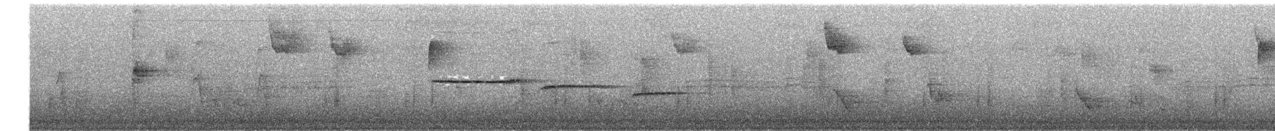 hvitstrupespurv - ML644938416