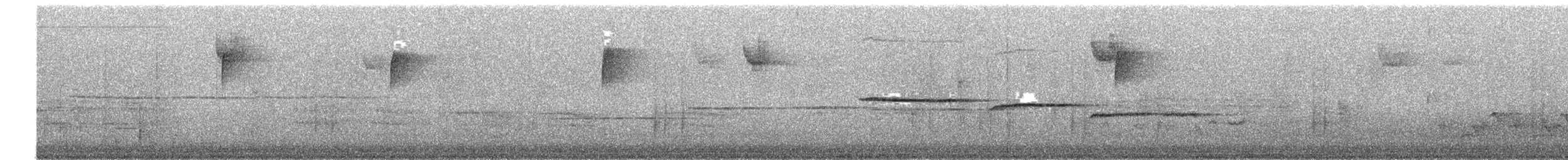 hvitstrupespurv - ML644938417