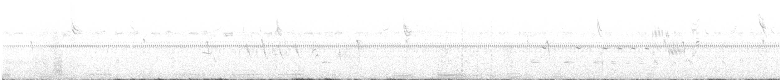 pygmésnipe - ML644938627