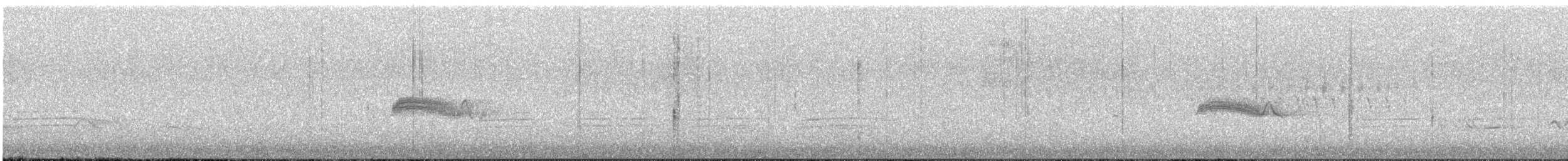 Западный пиви - ML644942090