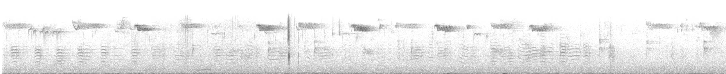 Канадский поползень - ML644944195