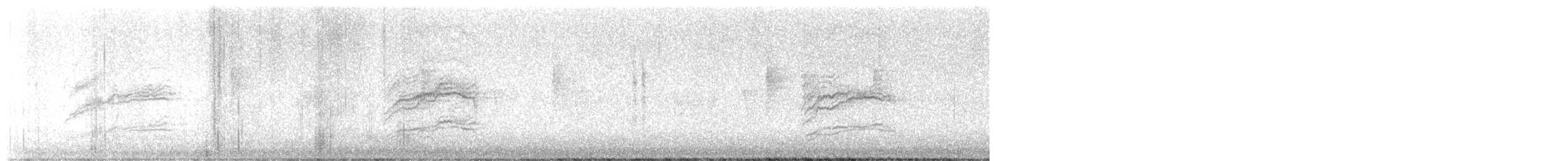 Hermit Thrush - ML644946730