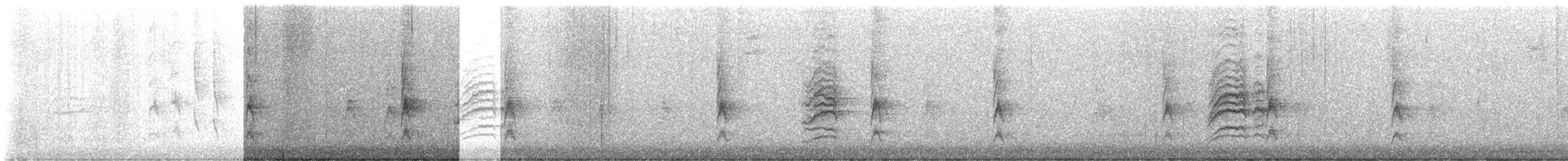 Hermit Thrush - ML644946972