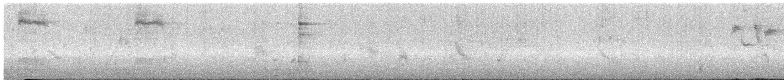 זרזיר שחור - ML644947480