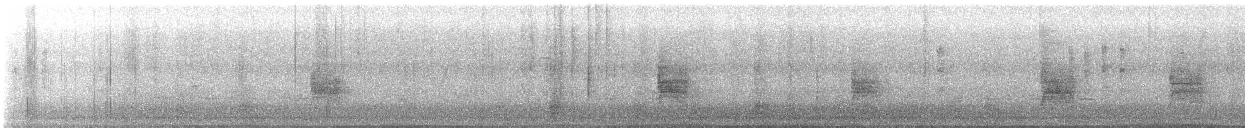 Bewick's Wren - ML644947673