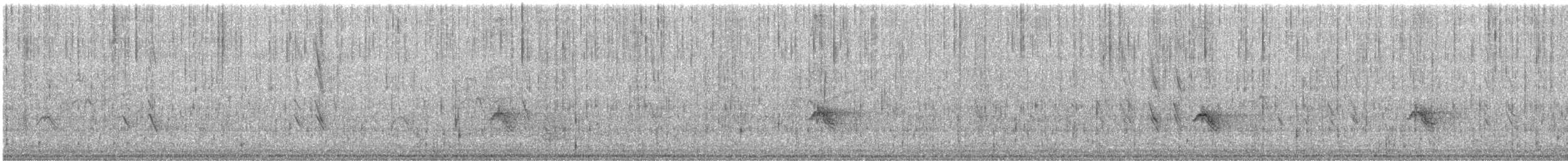 Evening Grosbeak - ML644947876