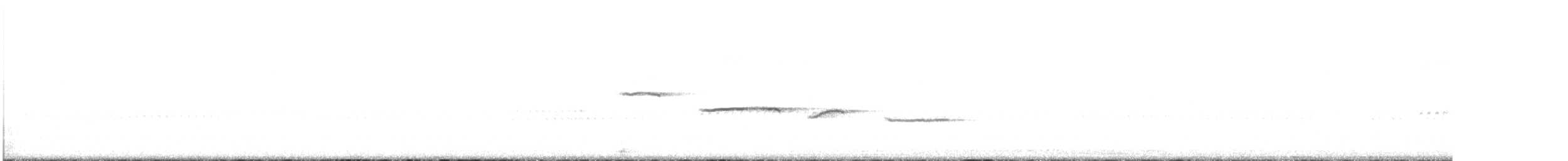 White-throated Sparrow - ML644948493