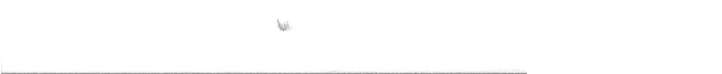 White-throated Sparrow - ML644948494