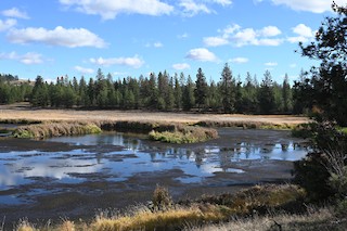 James T Slavin Conservation Area--Quail trail, Spokane, Washington ...