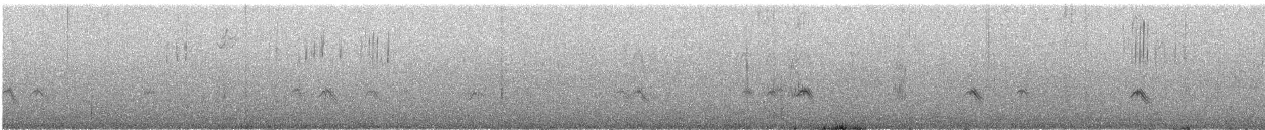 Evening Grosbeak - ML644948858