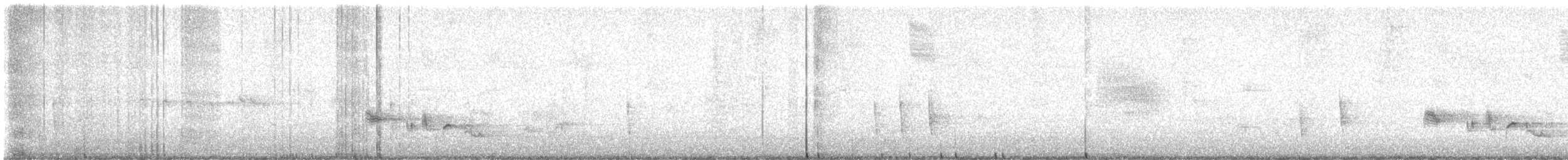 Hermit Thrush - ML644949050