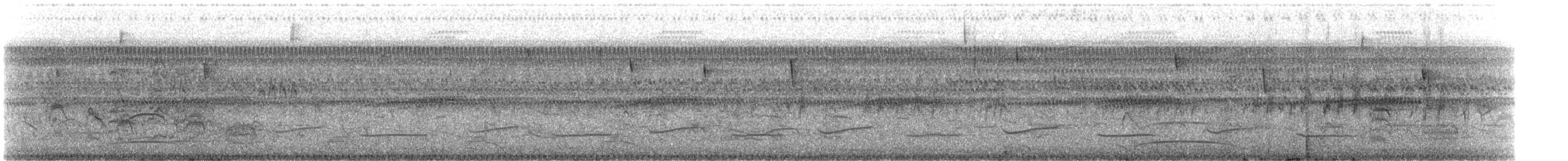 Orange-backed Troupial - ML644949273