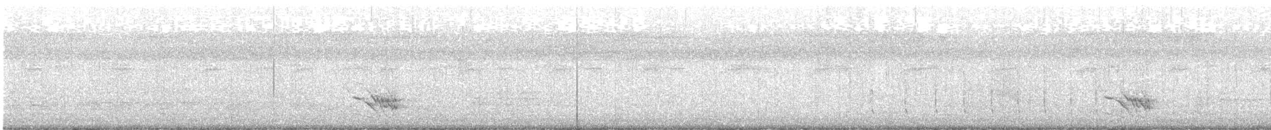 Black-faced Cuckooshrike - ML644951099