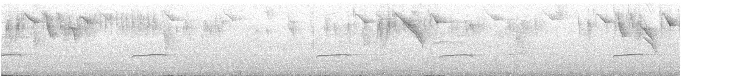 Западный пиви - ML644951294