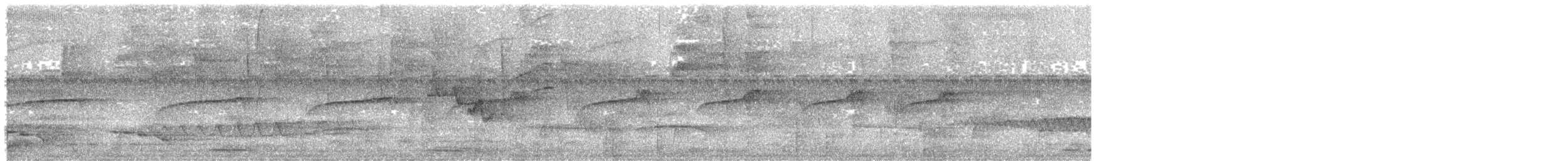 Lanceolated Monklet - ML644952227