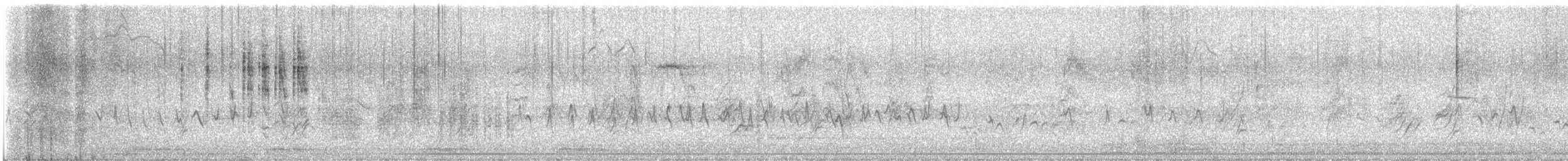 Grass Wren - ML644952314