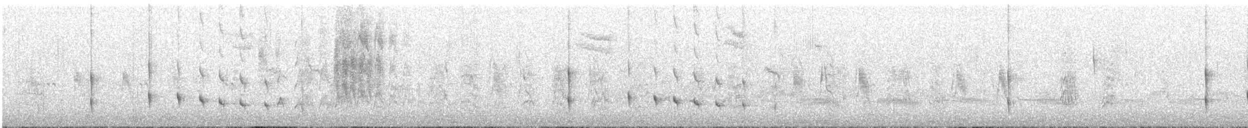 Pearly-vented Tody-Tyrant - ML644952353