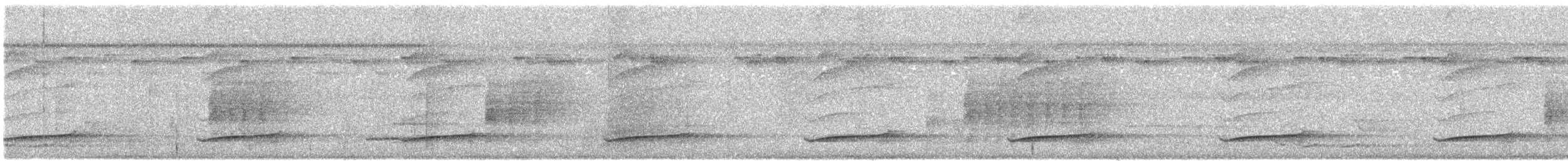 Banded Kingfisher (Banded) - ML644952404