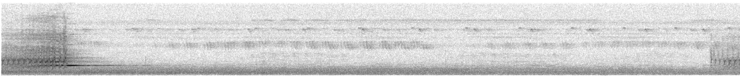 Malayan Black Magpie - ML644952524