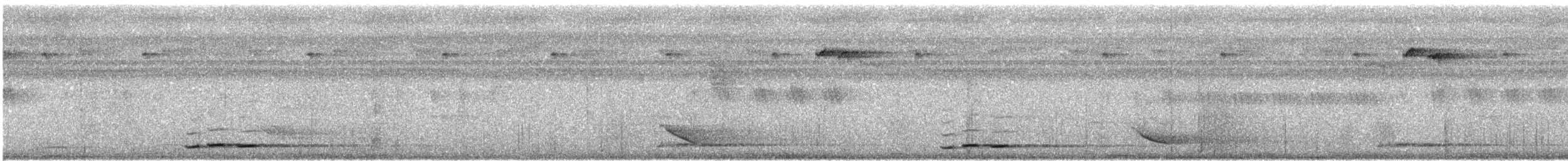 Sunda Scimitar-Babbler - ML644952584