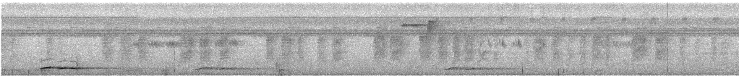 Sunda Scimitar-Babbler - ML644952585