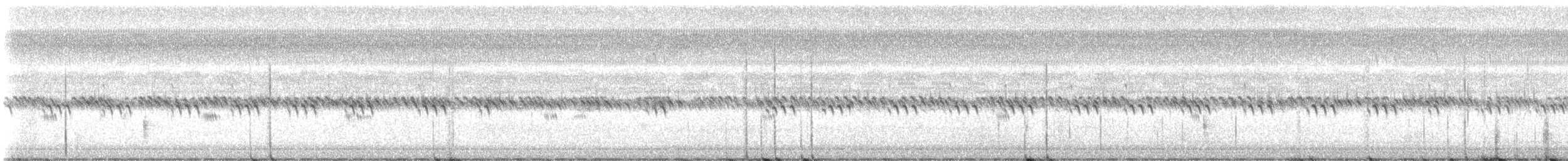 Groove-billed Ani - ML644952703