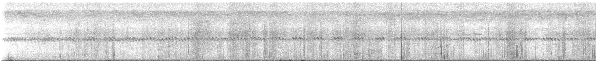 Smooth-billed Ani - ML644952711