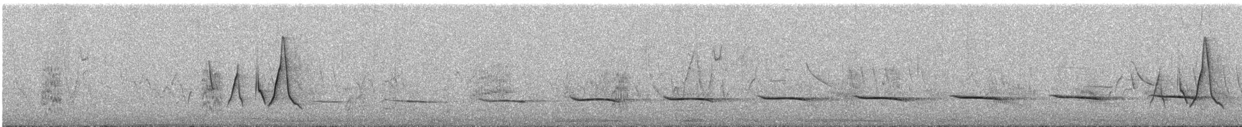 Brushland Tinamou - ML644953206