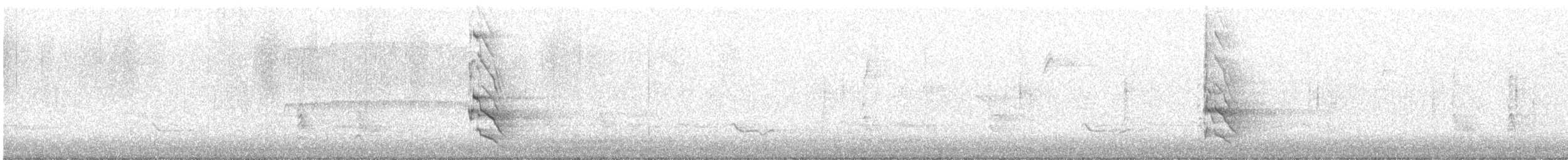 Декол золотистий (підвид auratus/luteus) - ML644953611