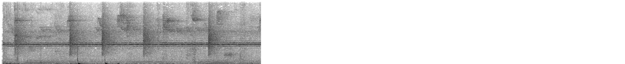 Манакін-короткокрил жовтий - ML644953612