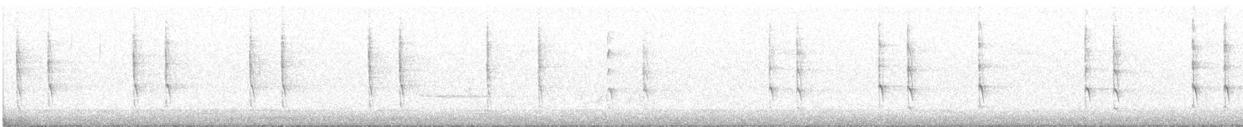 Волоочко канадське - ML644953615