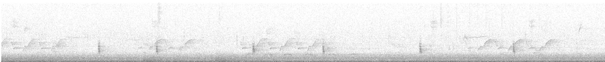 Дрізд-короткодзьоб плямистоволий (підвид faxoni/crymophilus) - ML644953621