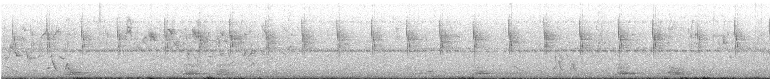 Колібрі синьочеревий - ML644953661