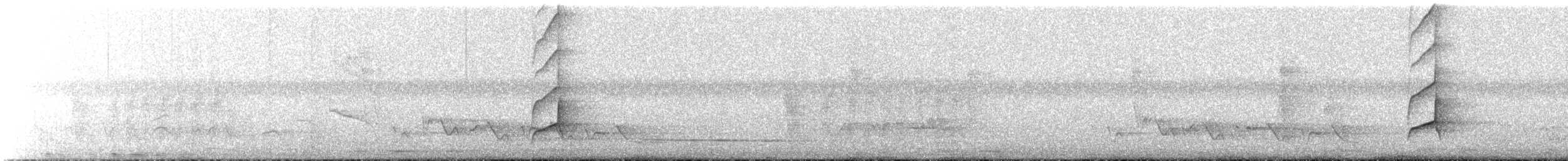 Копетон чубатий - ML644953838