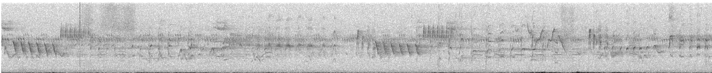 Серпокрилець білогорлий - ML644953891