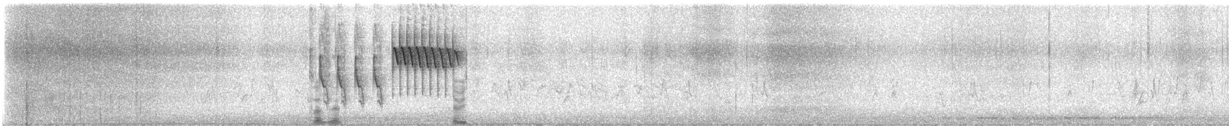 Тауї плямистий (підвид macronyx) - ML644953914