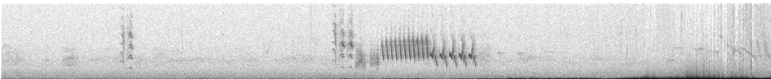 Southern House Wren - ML644954291