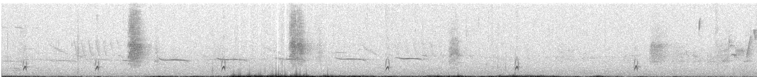 Creamy-bellied Thrush - ML644954312