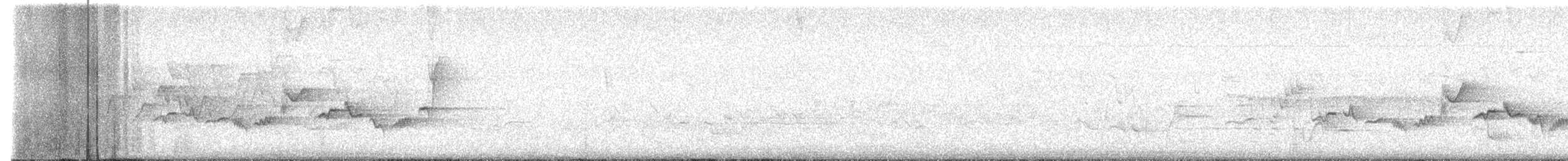 Eastern Warbling Vireo - ML644954758